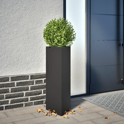 Jardinera Triangular Acero Negro 30x26x75 Cm_1