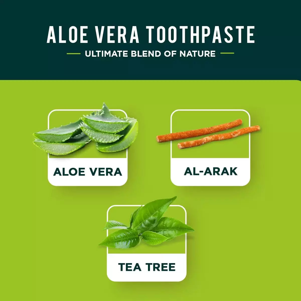 Pasta de dentes ayurvédica com aloé vera 100ml