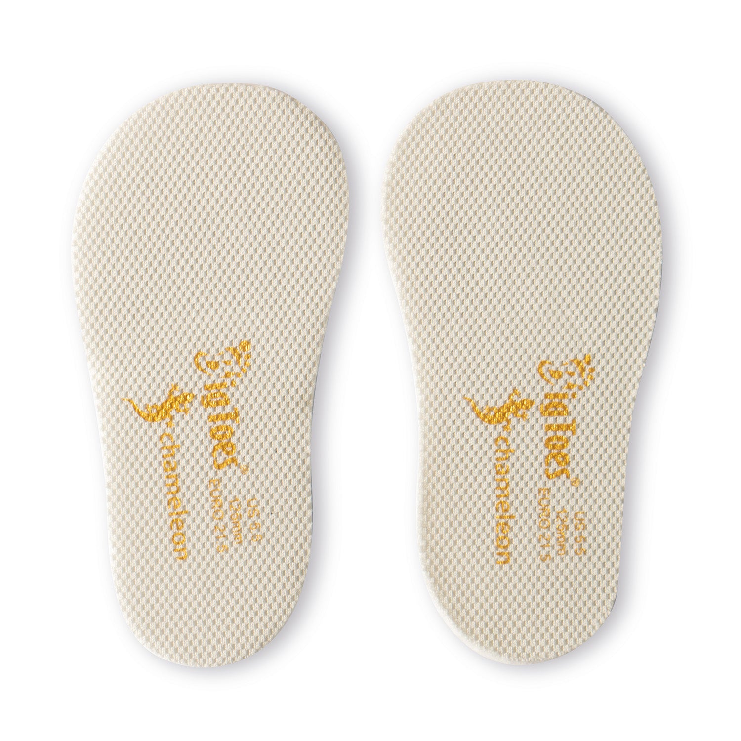 Plantillas Para Bigtoes Chameleon M (20)_0