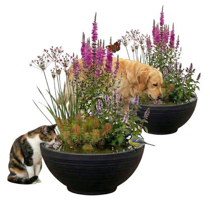 Pet Pond - 2 Bandejas Y 28 Plantas - Bebedero Para Perro Gato Aves_0