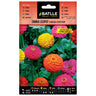 Sementes variadas de Pom Pom Zinnia Liliput