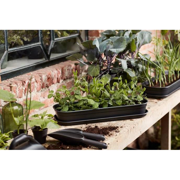 Tabuleiro de cultivo Elho Green Basics Antracite L