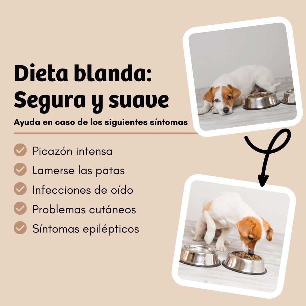 BugBell HighSensitive Pienso – hipoalergénico, sin cereales, con proteína de insecto, tapioca y aceite de lino_3