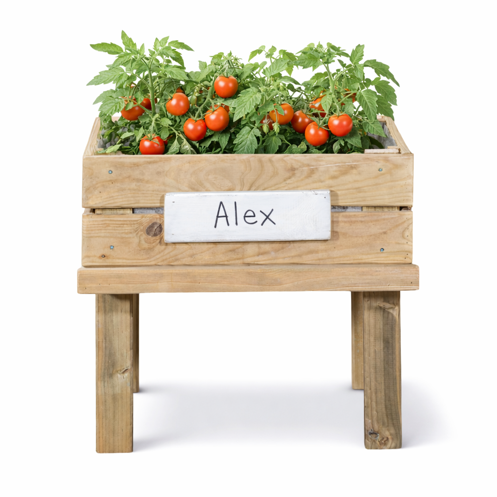 Mesa De Cultivo Infantil De Madera Con Kit De Cultivo De Tomates Variados| Vidahuerto_3