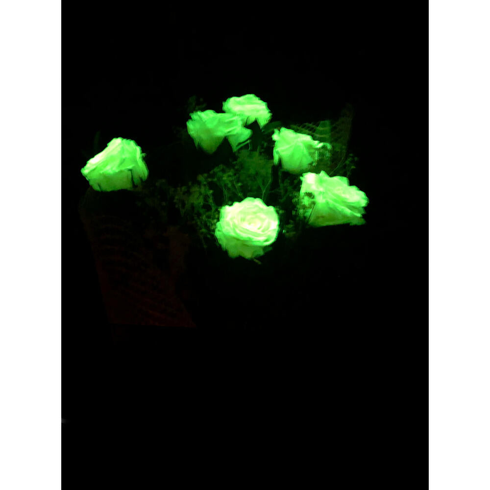 Mundo Eterno Ramo De 6 Rosas Eternas Blancas_2