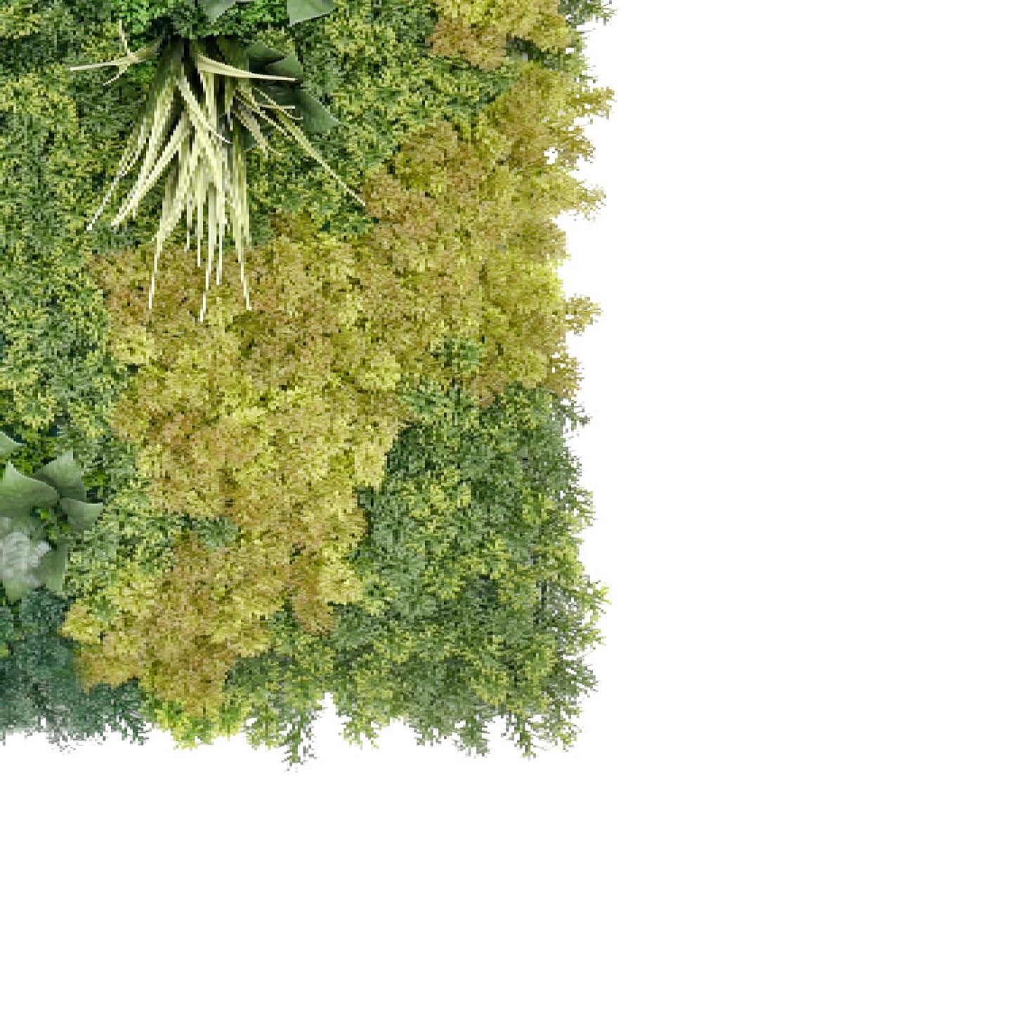 Bonerva | Jardín Vertical Yellowstone | Pieza 100x100 Cm_2