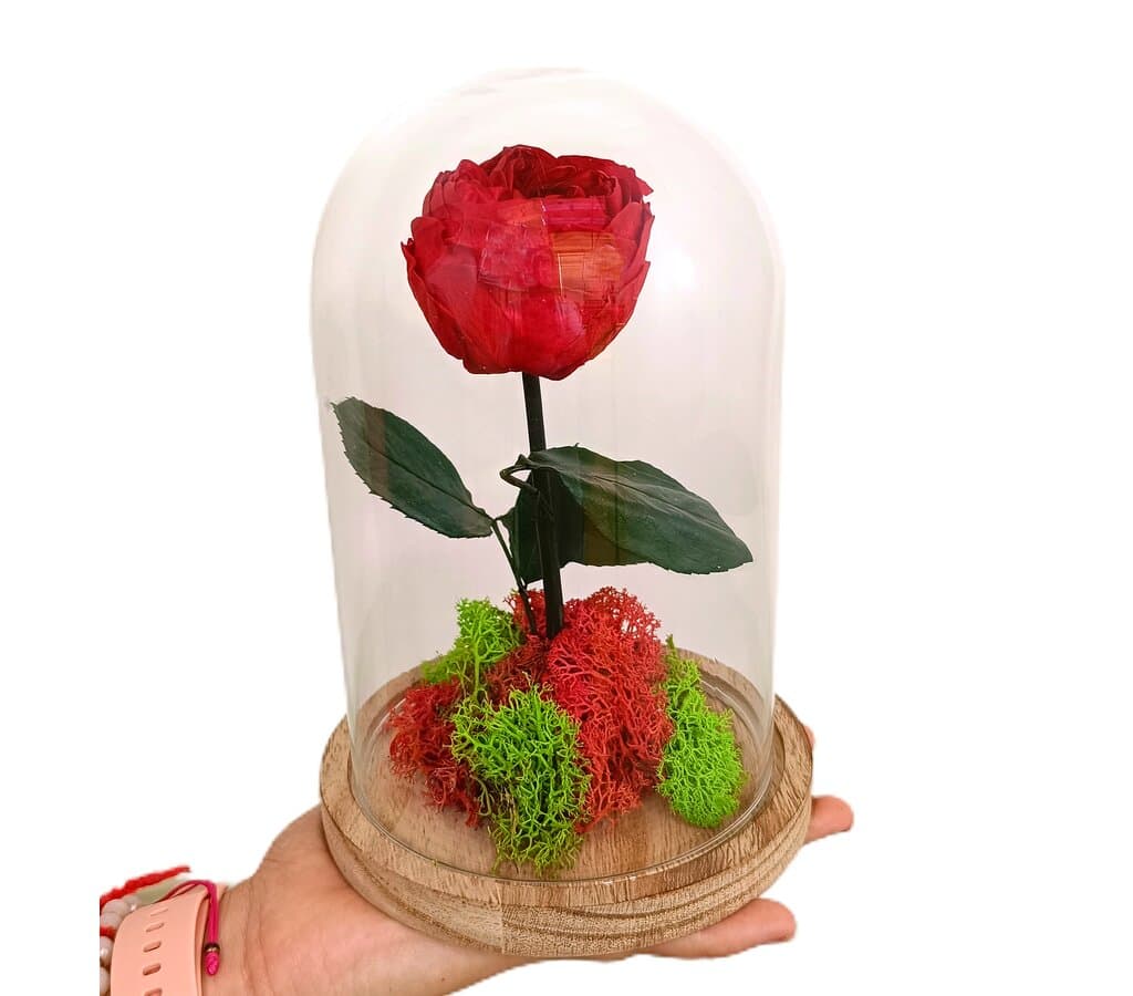 Mundo Eterno Peonía Roja En Cúpula 12x20cm_1