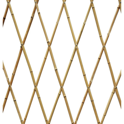 Treliça extensível de bambu natural Faura 1,2 x 2,4 m