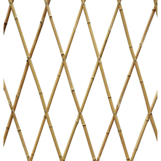Treliça extensível de bambu natural Faura 1,2 x 2,4 m