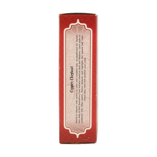 Pó de Henna Radhe Shyam Tintura Castanho Cobre 100g