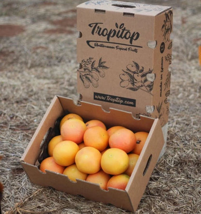 Pomelos Rojos Star Ruby Valencianos Tropitop 15kg_2