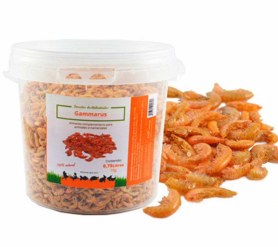 Gammarus Deshidratados Para Tortugas Y Aves De Corral | Fuente Natural De Proteína (70 G)_0