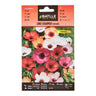 Sementes de Linho Charmer Mix