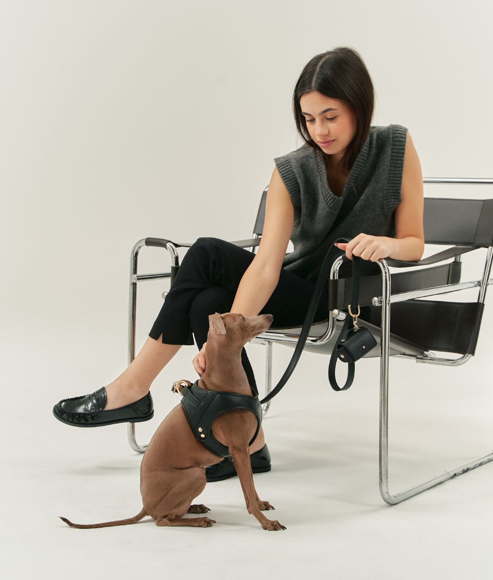 Cafide Arnés De Cuero Vegano Negro. Modelo Jala._3