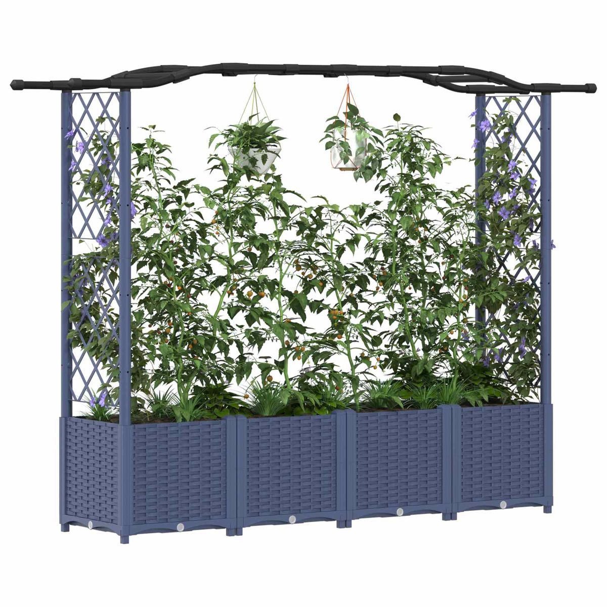 Cama Elevada Con Trellis Y Techo Gris 204 X 40 X 138 Cm Pp_2