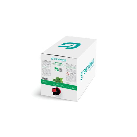 Produto de limpeza multiusos Greenatural Menta e Eucalipto 5 kg