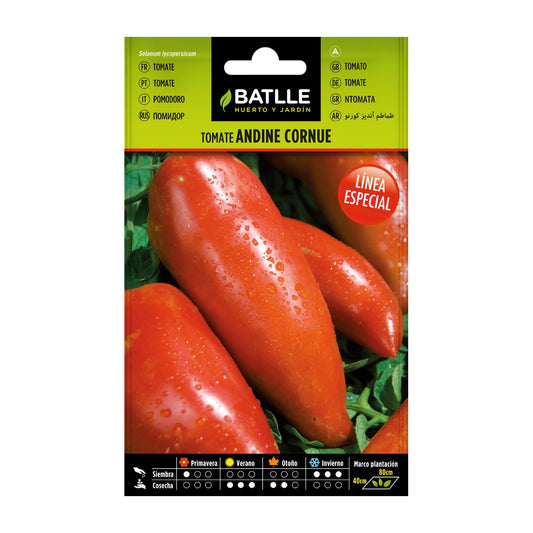 Sementes de tomate Andina Cornue
