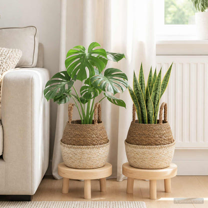Maceta Con Asas 2 Uds. Blanco Ø 22 X 20 Cm 100% Hierba Marina_1