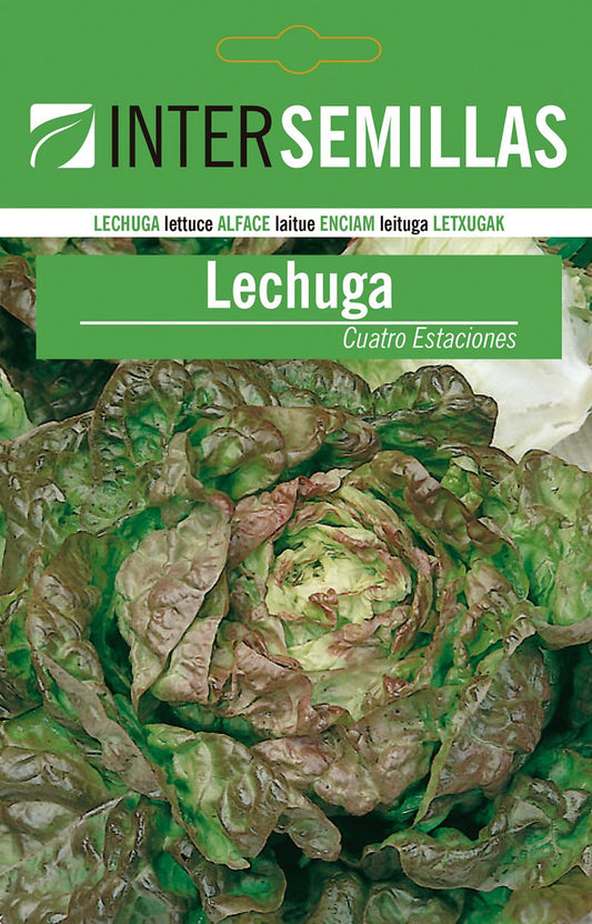 Sobre De Semillas De Lechuga Cuatro Estaciones_0
