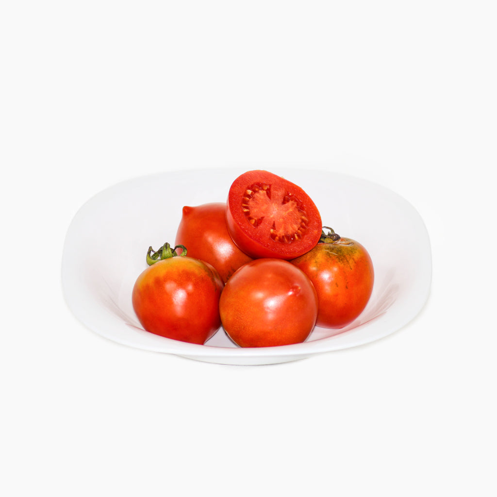 Plantón Tomate Penjar Grill 2 Unidades - PlantaBo_1