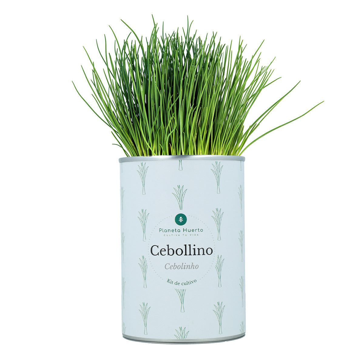 Kit de cultivo aromático de cebolinho Planeta Huerto