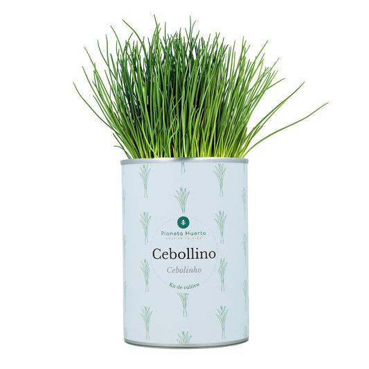 Kit de cultivo aromático de cebolinho Planeta Huerto