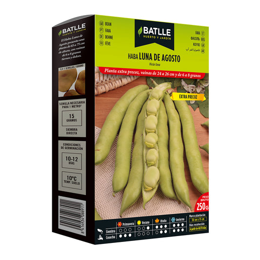 Sementes de fava extra precoce August Moon 250 g Batlle