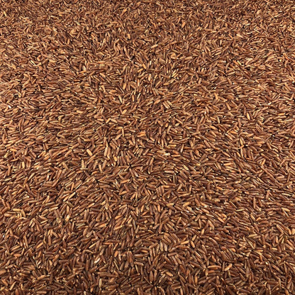 Arroz Rojo Ecológico Granel 5 Kg_2