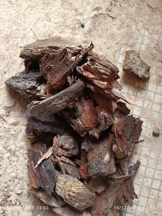 Corteza Pino Sustrato 1 Litro Orquideas, Terrarios_0