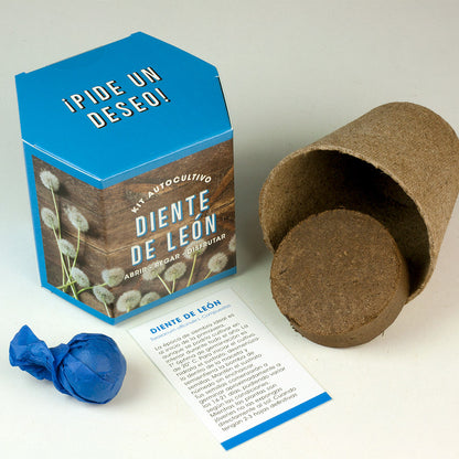 Kit Autocultivo Diente De León | Cultiva Flores Amarillas En Casa Y Descubre Su Magia Natural_1