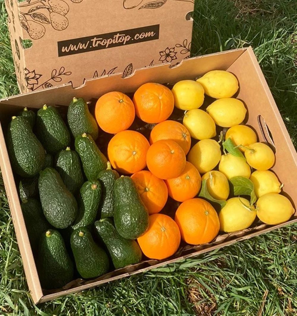 Mix Mandarinas, Limones Y Aguacates Hass De Temporada Tropitop 5kg_3