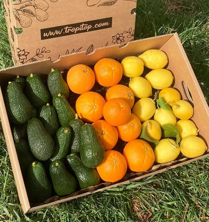 Mix Mandarinas, Limones Y Aguacates Hass De Temporada Tropitop 5kg_3