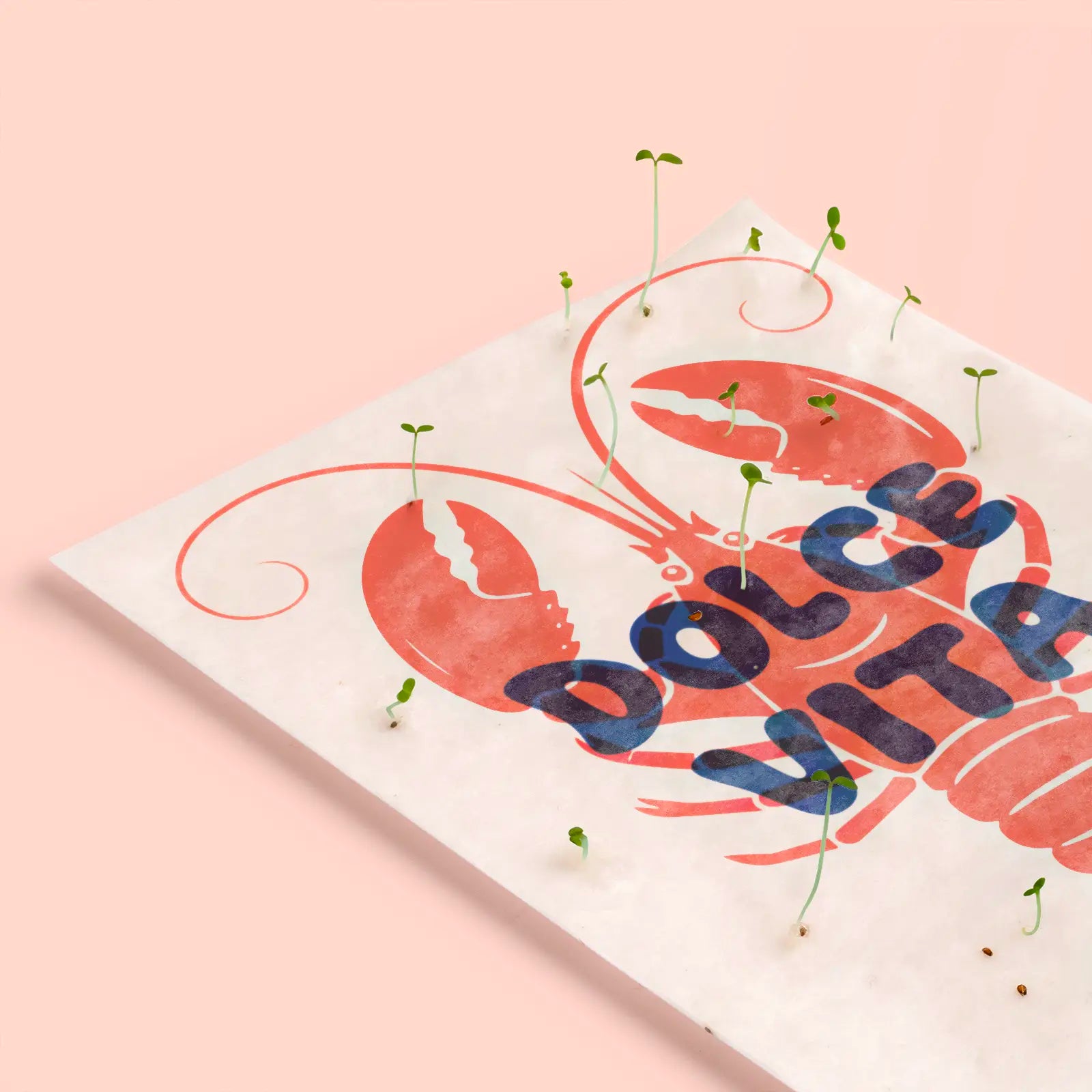 Postal Plantable - Dolce Vita_2