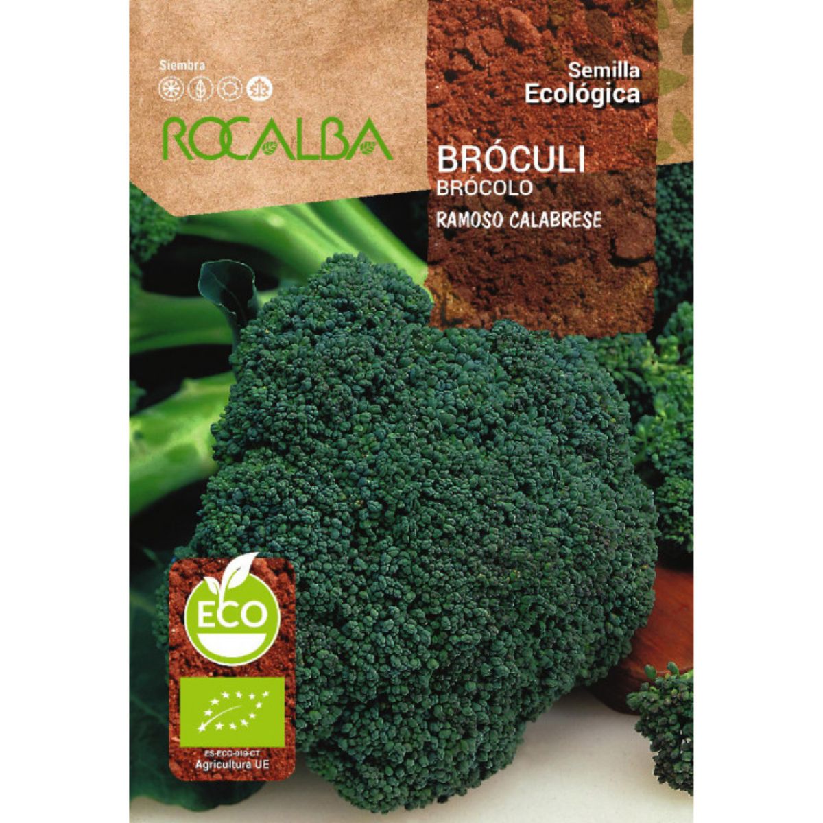Sementes de brócolos calabresa e ramoso