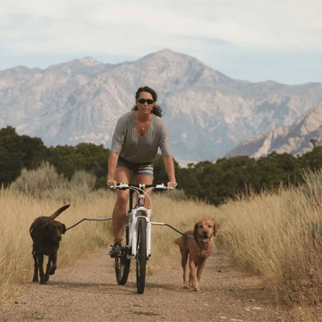 Petego Correa Universal Para Bicicleta Para Perros Cycleash 85 Cm_3