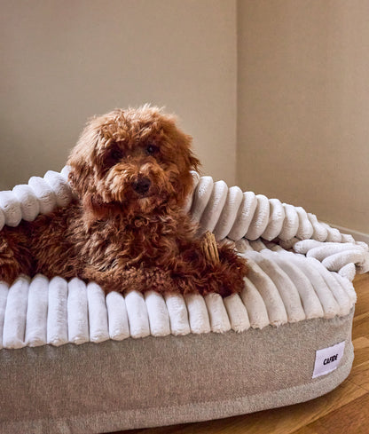 Cafide Cama Con Capucha Para Perro Con Tejido Chenilla Beige. Modelo Maso. Talla M (60x80x10 Cm)_3