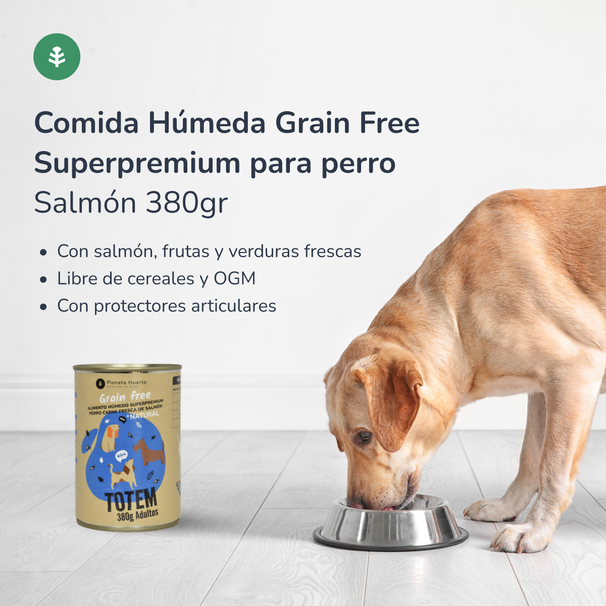 Embalagem de 12 rações húmidas superpremium sem cereais para cães com salmão, 380 g, Planeta Huerto