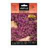 Sementes de amieiro anual violeta