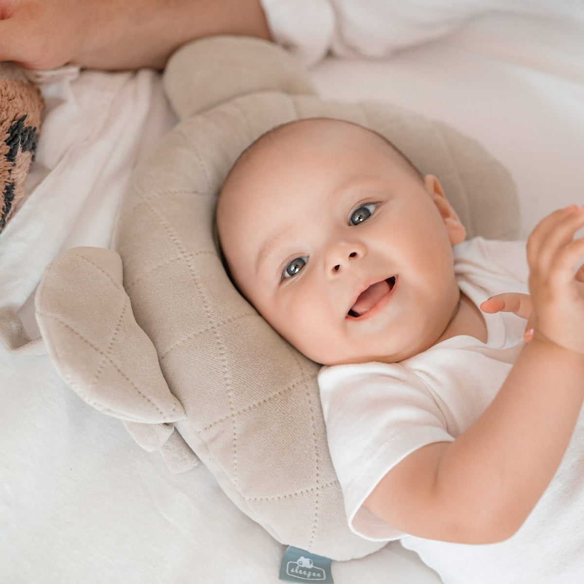 Royal Baby Almohada Cojin Plagiocefalia Bebés Royal Baby_2