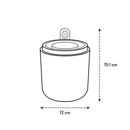 Incrível Abacate Elho Terra Abacate Germinante Pote