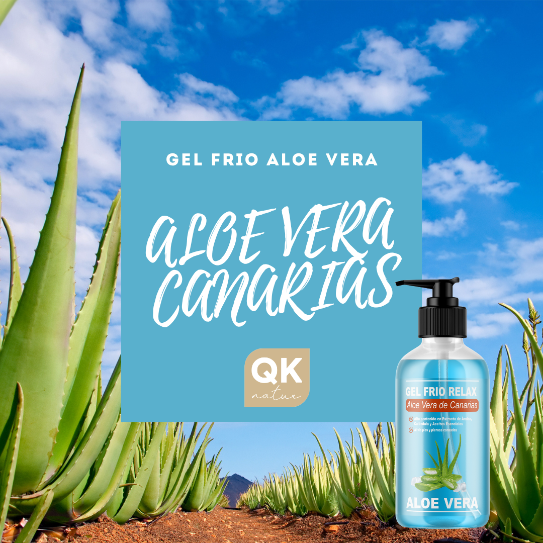 QKnatur - Gel Frio Aloe Vera De Canarias Bio - Extracto De Arnica Y Calendula. Alivia Las Piernas Cansadas 250 Ml_5