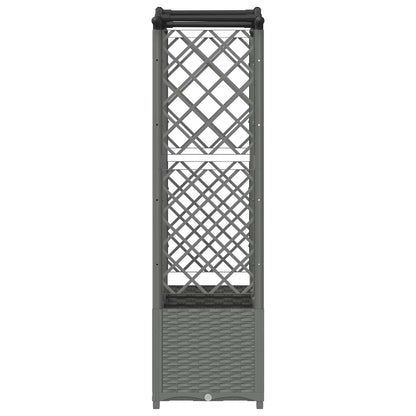 Cama Elevada Con Trellis Y Techo Gris Claro 163 X 40 X 138 Cm_3