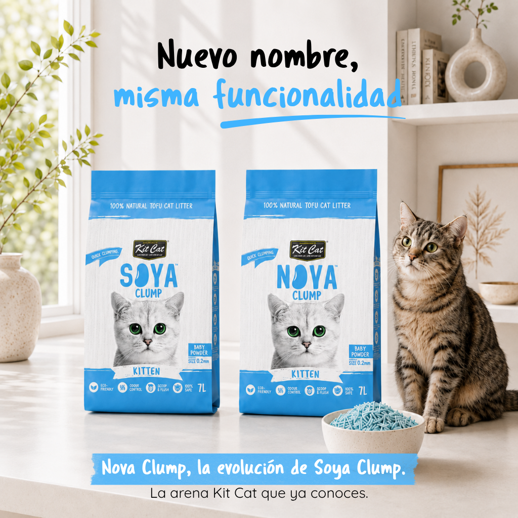 Kit de areia para gatos Eco SoyaClump - Talco para gatinhos, areia para gatos de 7 litros