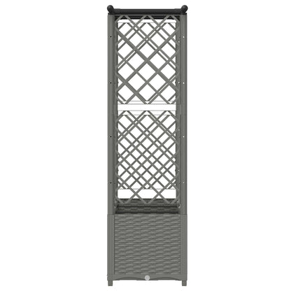 Cama Elevada Con Trellis Y Techo Gris Claro 162,5 X 40 X 136 Cm_4