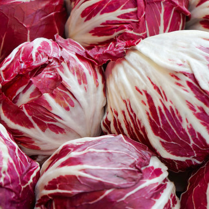 Plantón Lechuga Radicchio 10 Unidades - PlantaBo_1