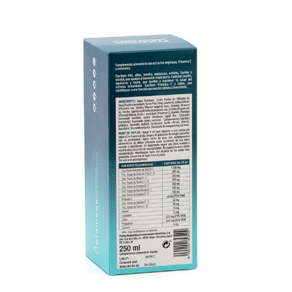 Xarope Peitoral Protectium Adultos Plameca 250 ml