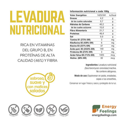 Embalagem de 2 Flocos de Levedura Nutricional Bland Energy Feelings 250 g