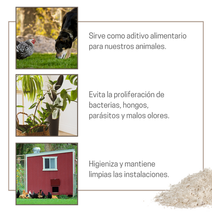 Tierra De Diatomeas Para Ayudar A Mantener El Gallinero Libre De Parásitos - Producto Natural - 5kg_3
