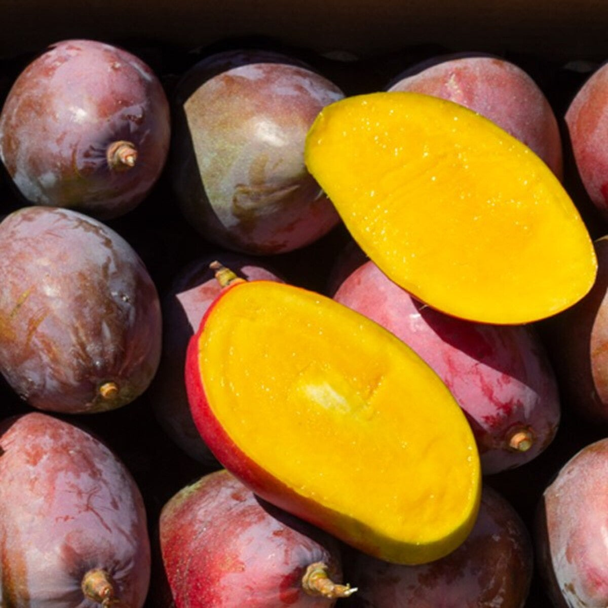 Mangos Ecológico Osteen Caja De 2kg_4