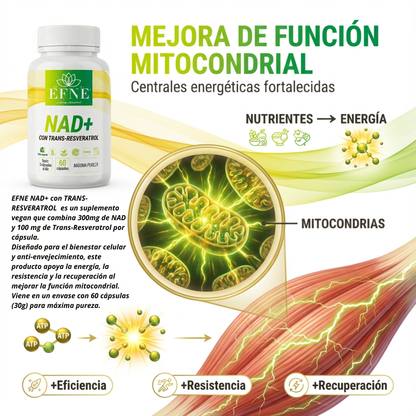 Efne Nad Con Trans-resveratrol: El Activador De Longevidad Para Quienes Viven Al Máximo Después De Los 40_1